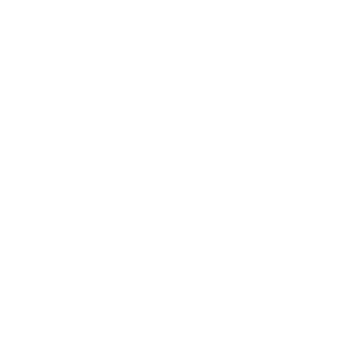 Profesionalism